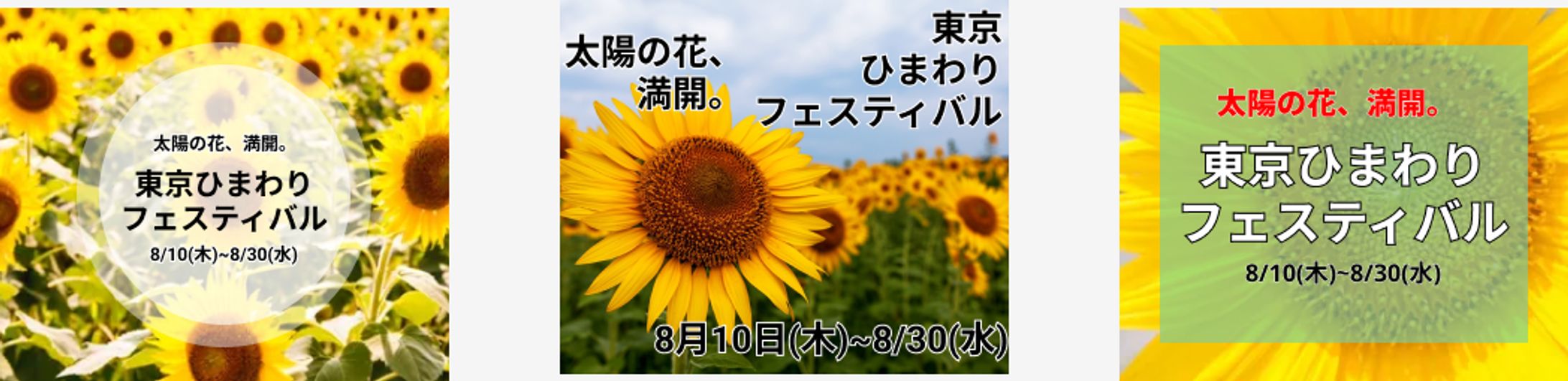 ひまわりバナー-1