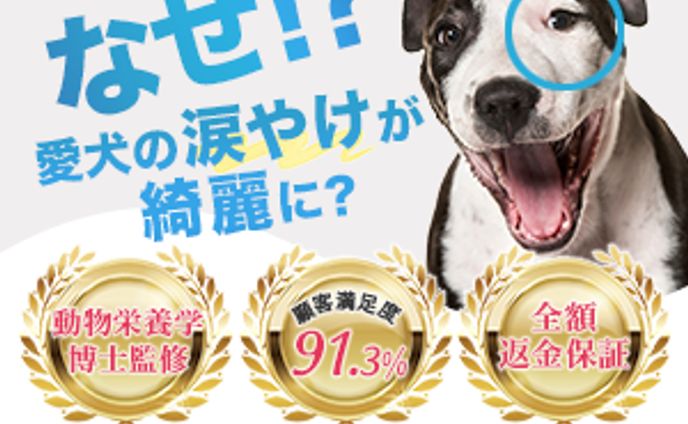 ドッグフードバナー