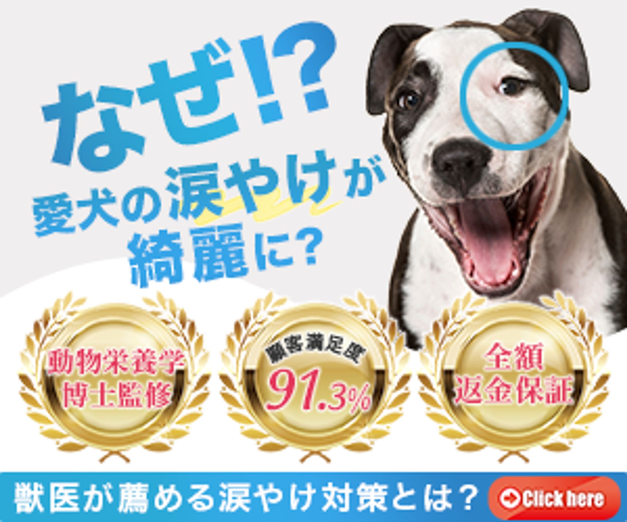 ドッグフードバナー-1