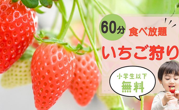 いちご狩り２パターン