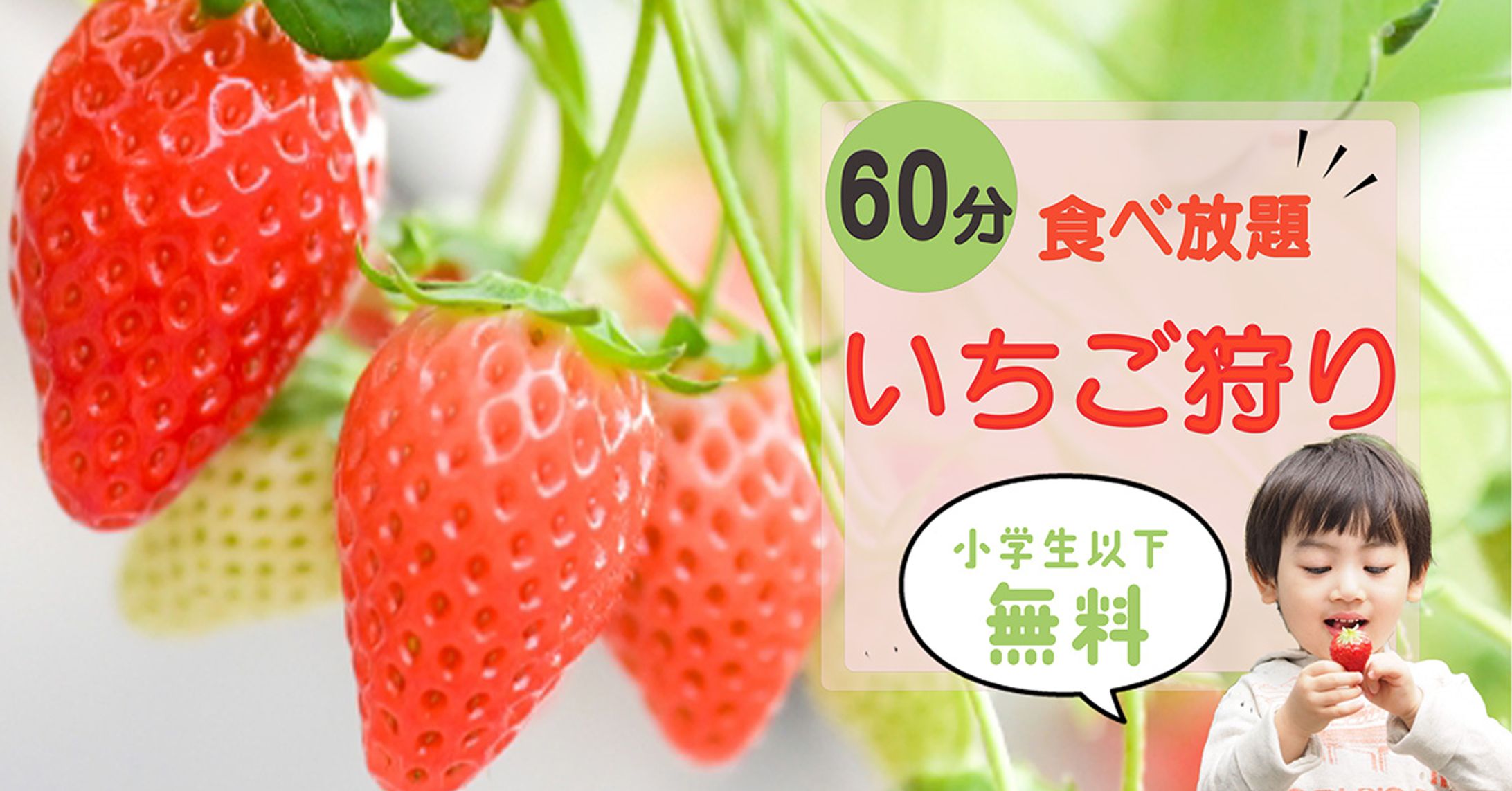 いちご狩り２パターン-1