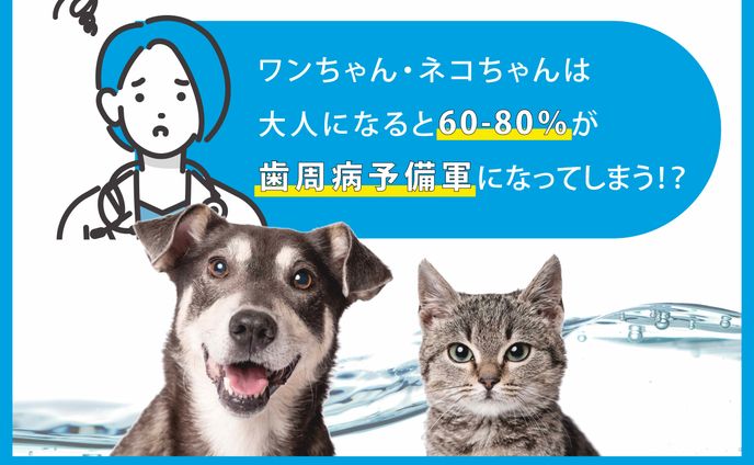 バナー、animated videos