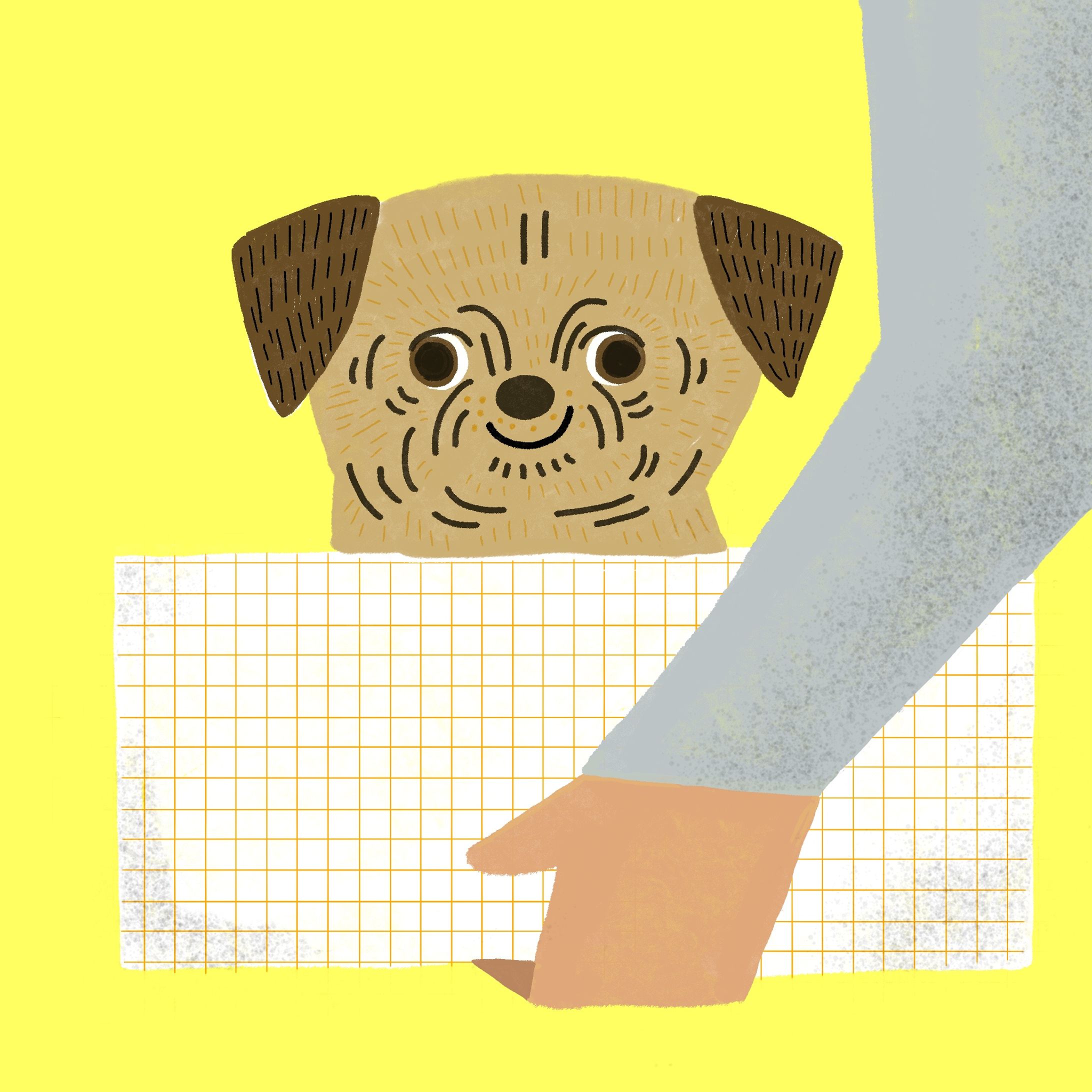 dog-1