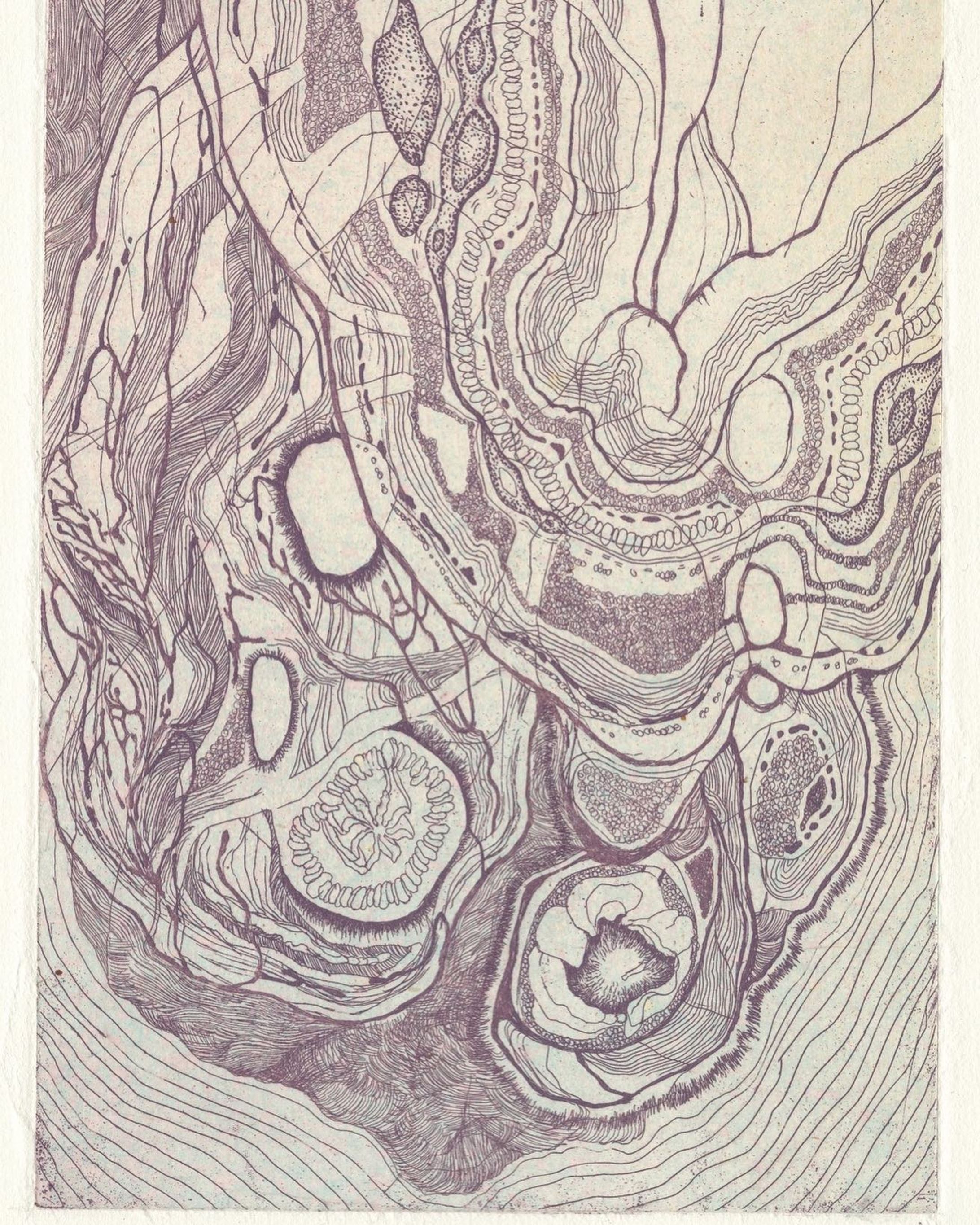 "in my umblical cord"

#etching
#銅版画
#artworks
#comtenporaryart-1