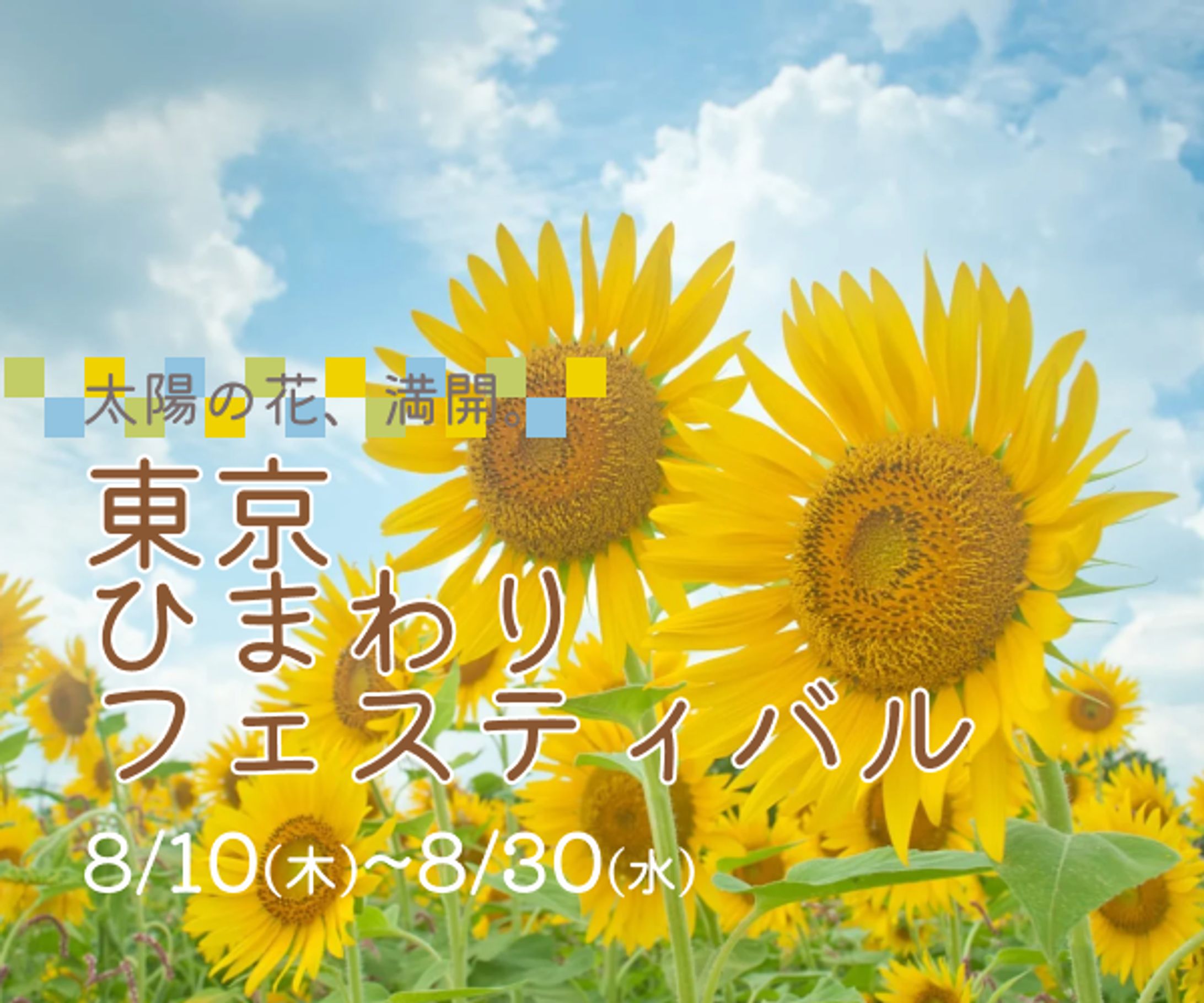 （制作事例）東京ひまわりフェスティバルバナー-1