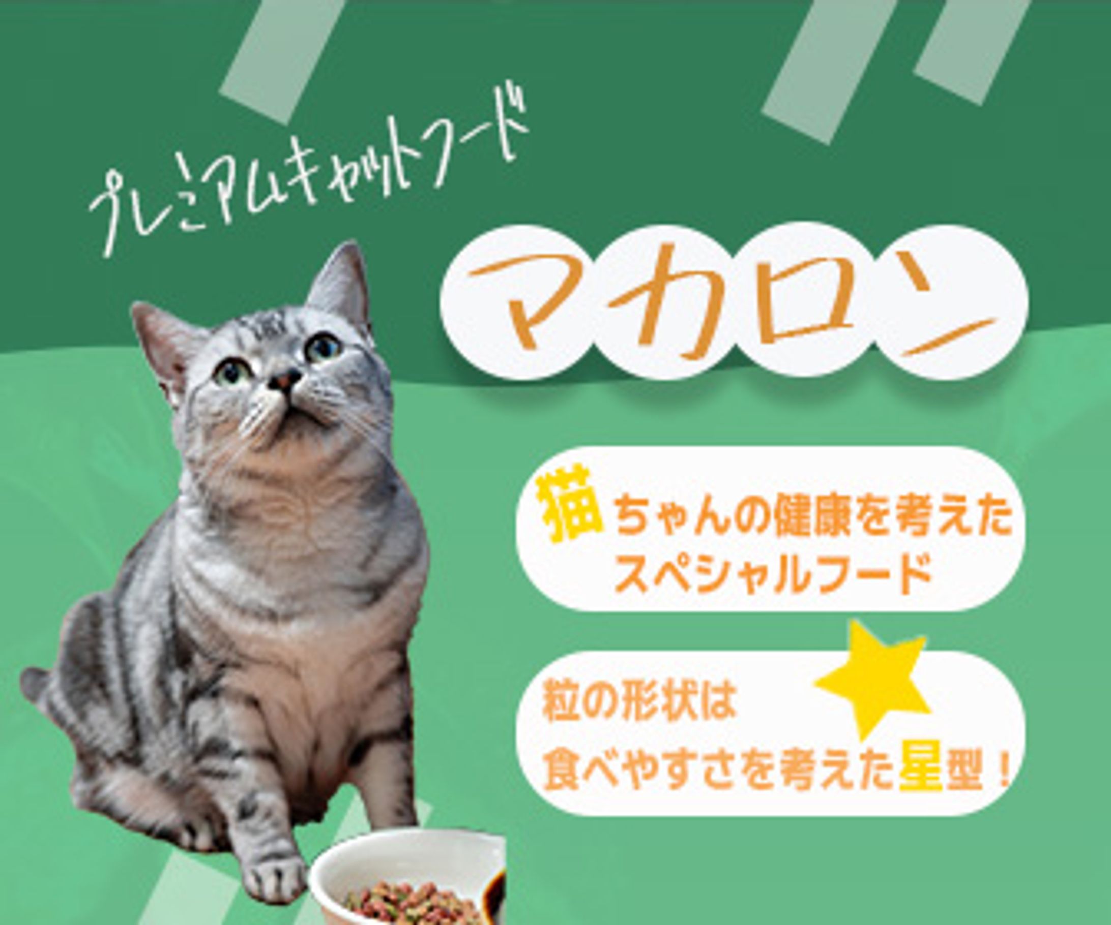 ペット系バナー-1