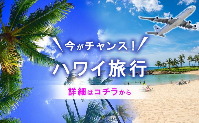 【バナー】旅行｜ハワイ旅行