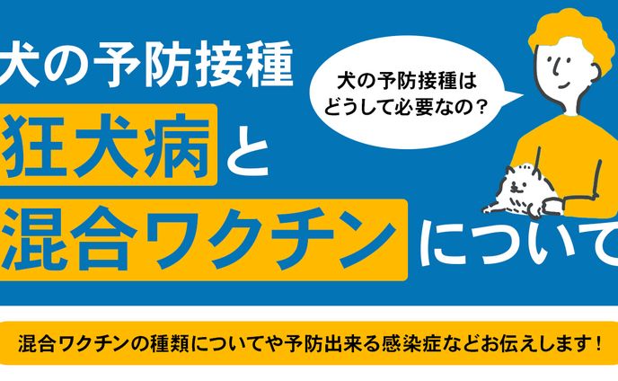 動物系サムネ　トレース