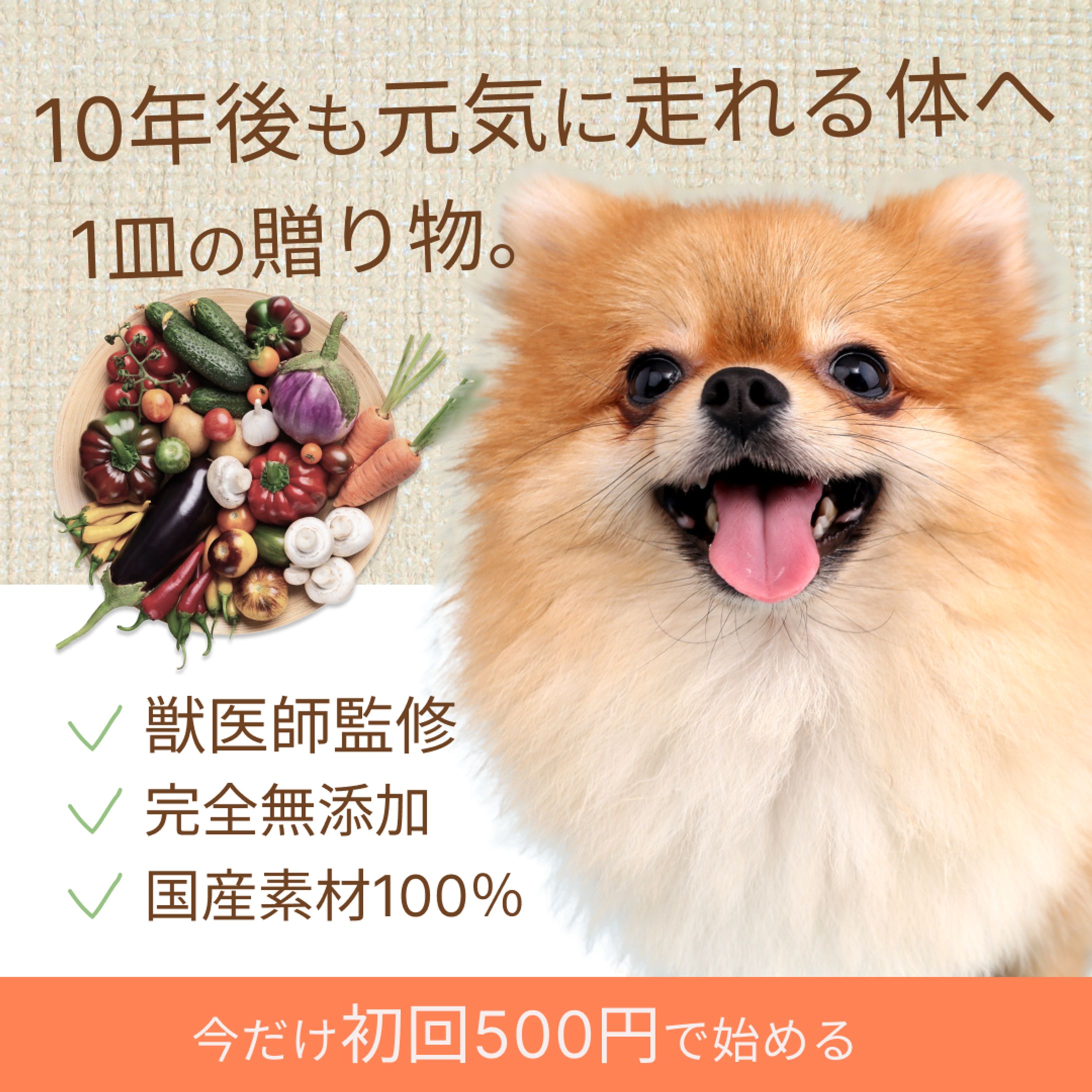 ドッグフードバナー-1