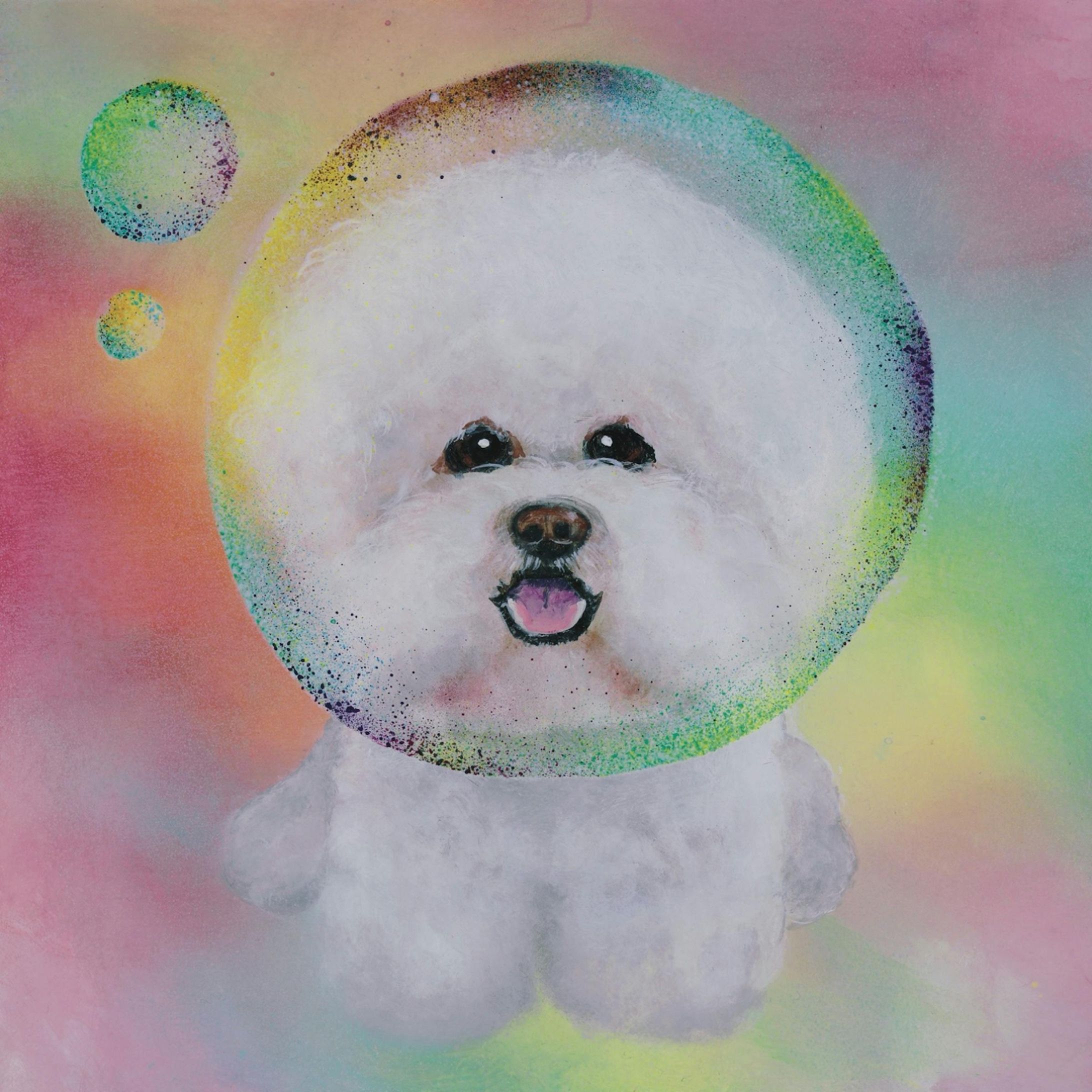 toy poodle-1