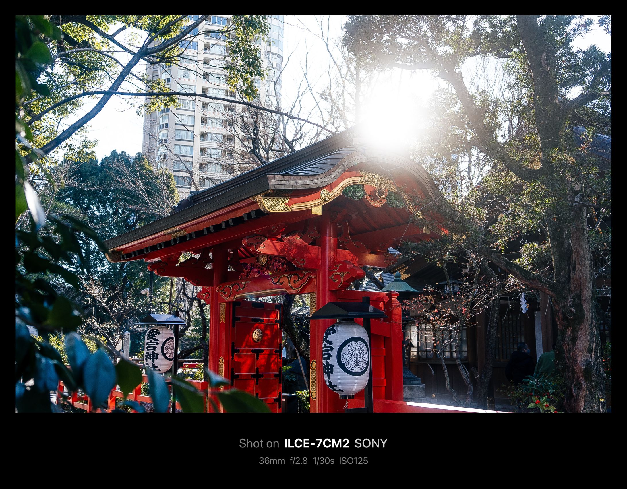 東京|愛宕神社-1
