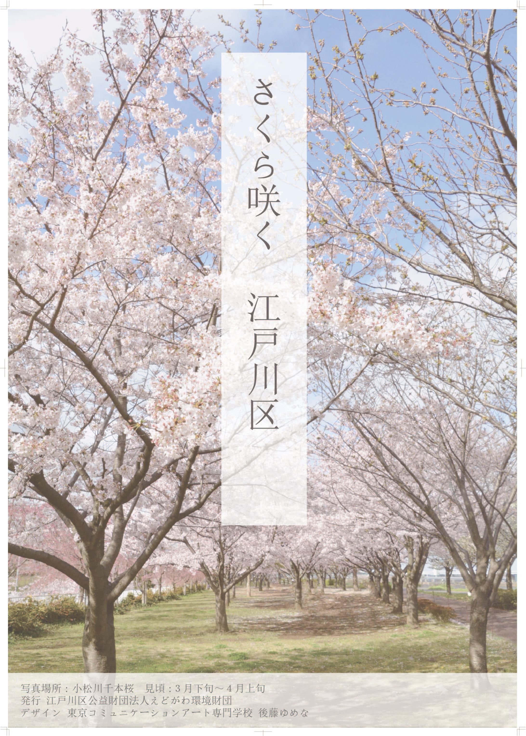 江戸川区　桜の名所　PRポスター-1