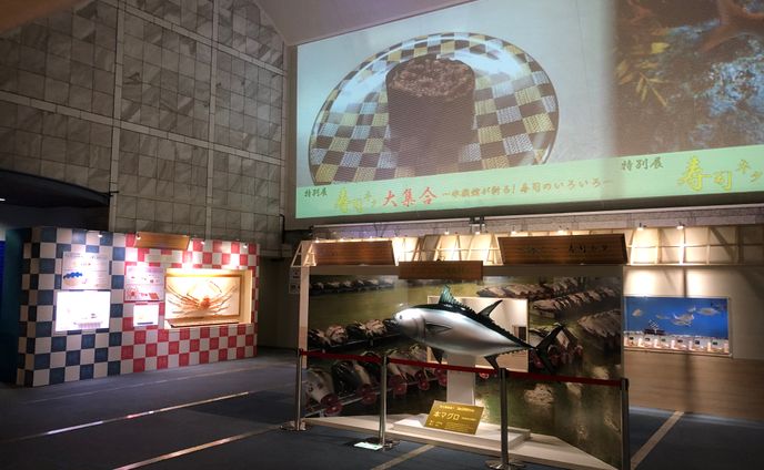 展示05