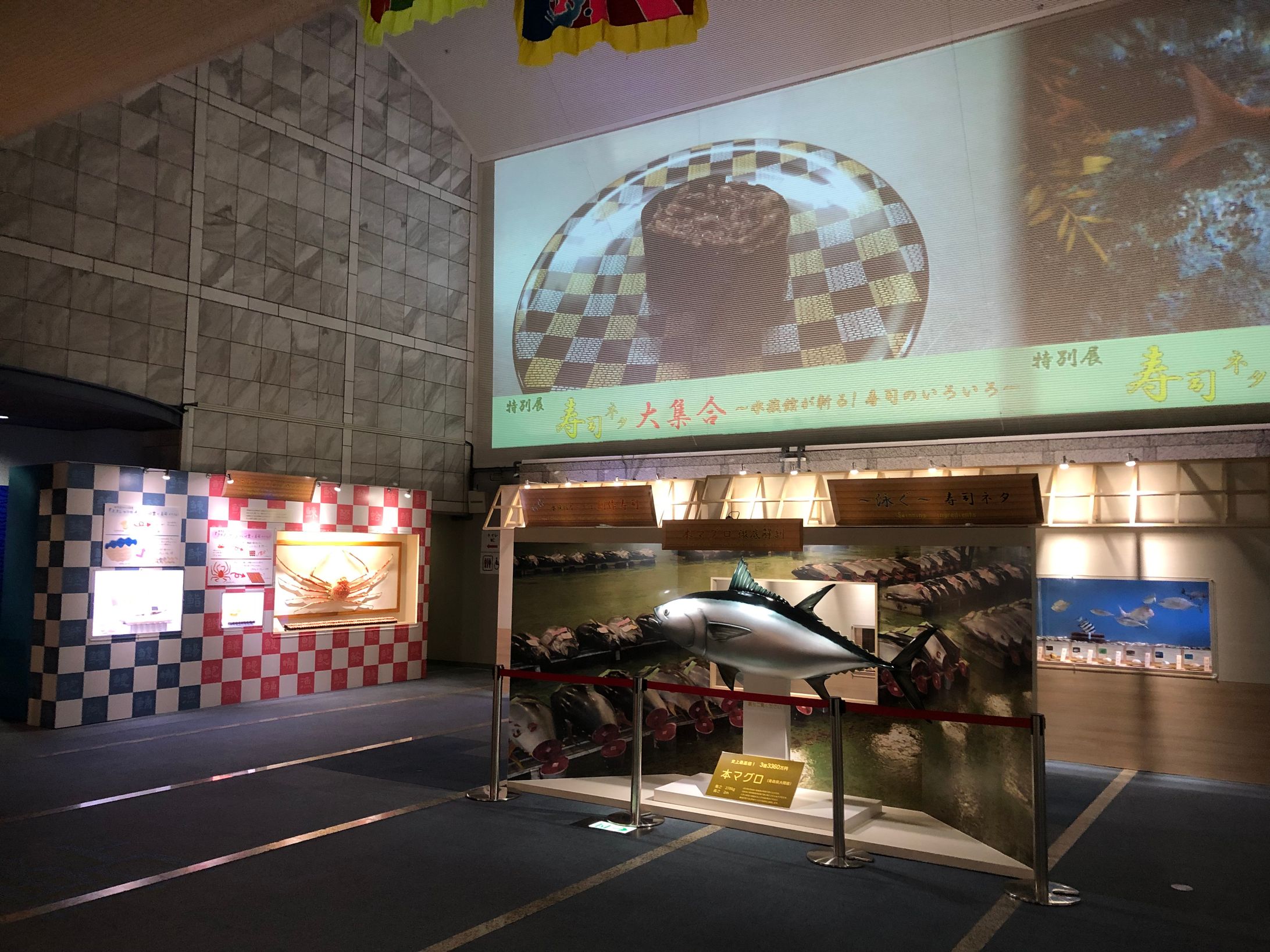 展示05-1