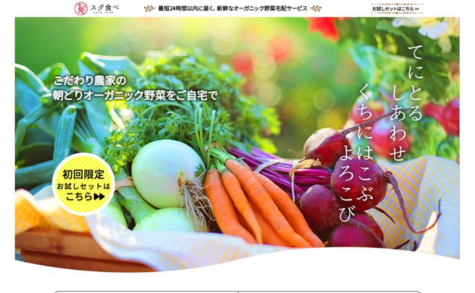LP　野菜宅配サービス「スグ食べ」(架空企業）