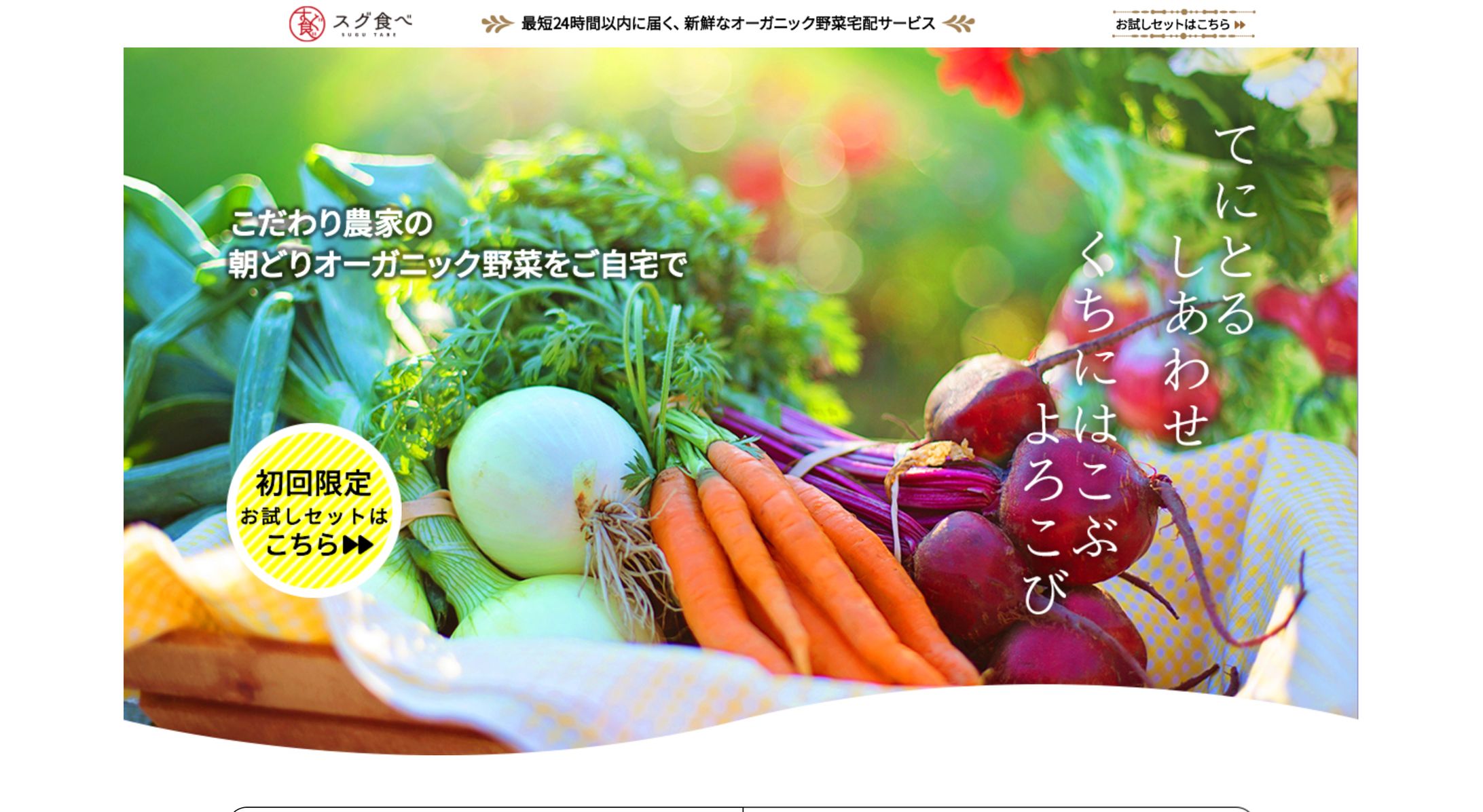 LP　野菜宅配サービス「スグ食べ」(架空企業）-1