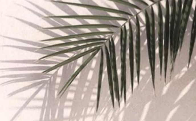 𝑸𝑷𝑷𝑨 𝒊𝒔𝒍𝒂𝒏𝒅 𝒔𝒕𝒚𝒍𝒆 𝒕𝒖𝒓𝒃𝒂𝒏𓇼

#キュッパ #着せ替えターバン #付け心地抜群 #ミニマル #ミニマルライフ #着せ替え式 #洗える#ワイヤーターバン #creema #creemaで販売中 #minneで販売中 #base #ベイス #オンラインショップ #ヘアアクセサリー #ヘアアクセ #ヘアターバン #ターバン#ヘアバンド #island #islandlife #beach #海