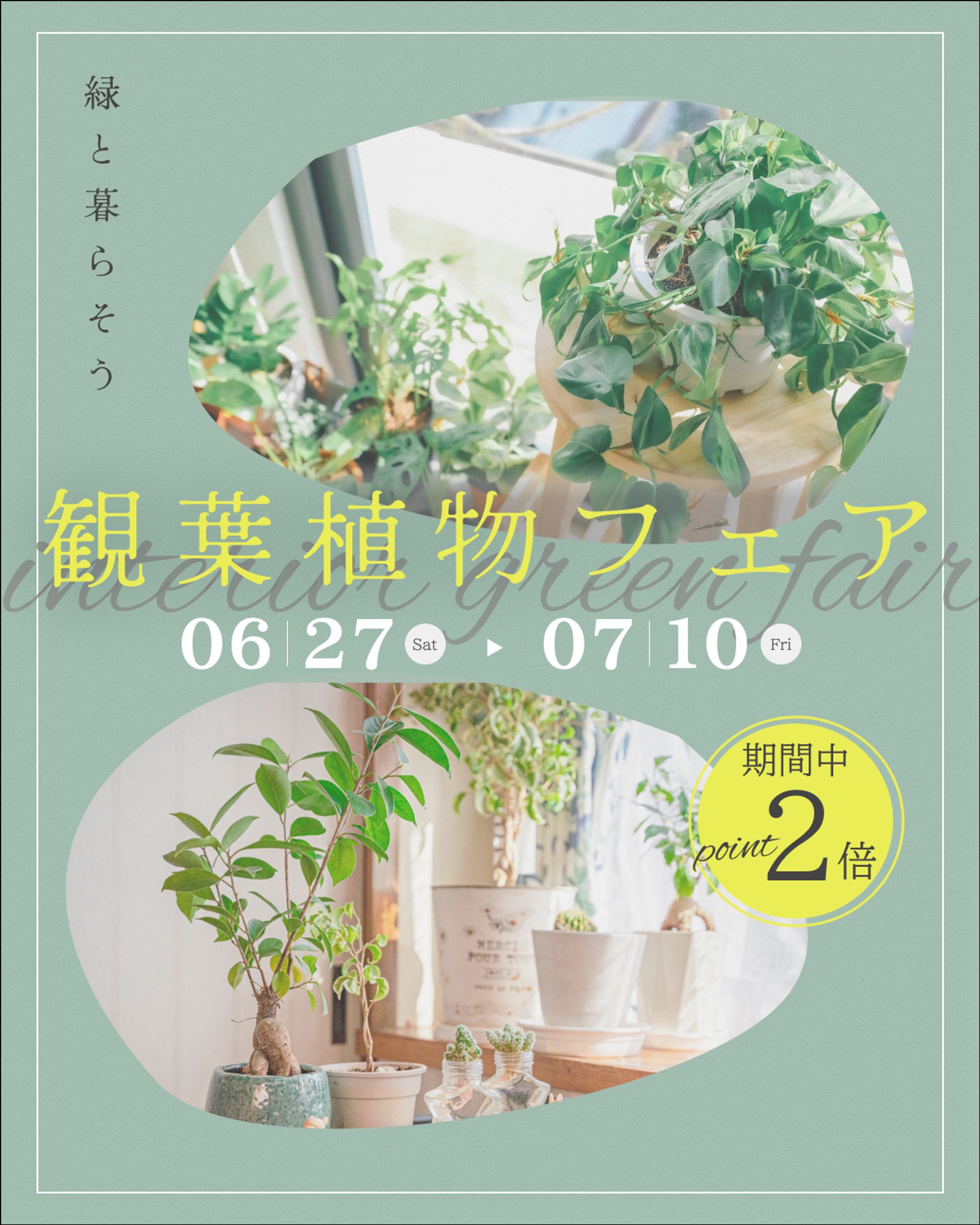 園芸店の観葉植物フェアのバナー-1