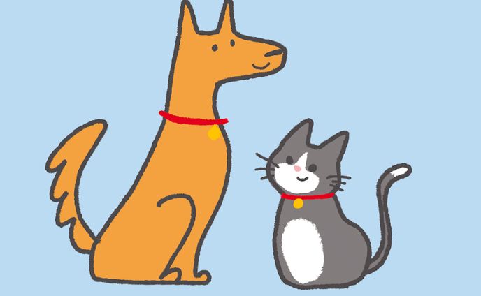 ウェブデザイン、illustrator