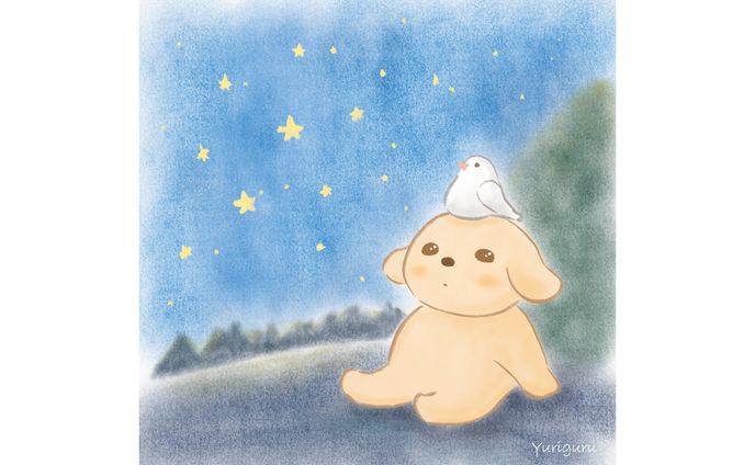 夜空を見上げて