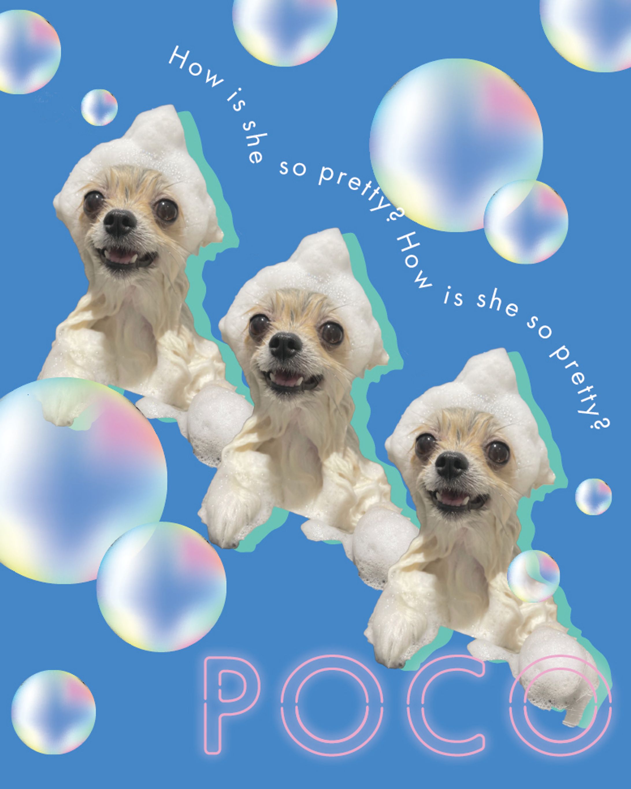 graphic design-1