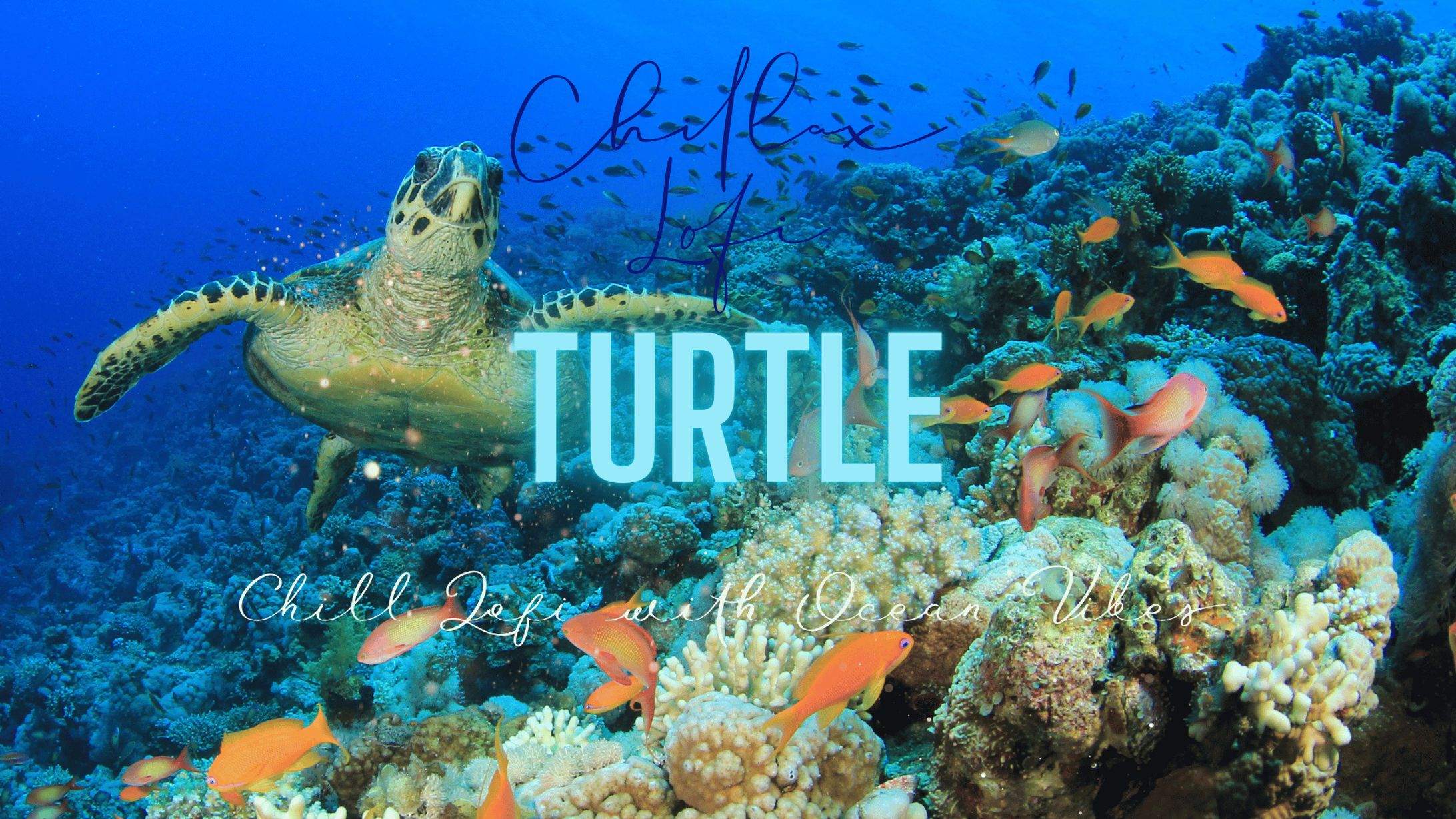 Youtubeサムネイル-1