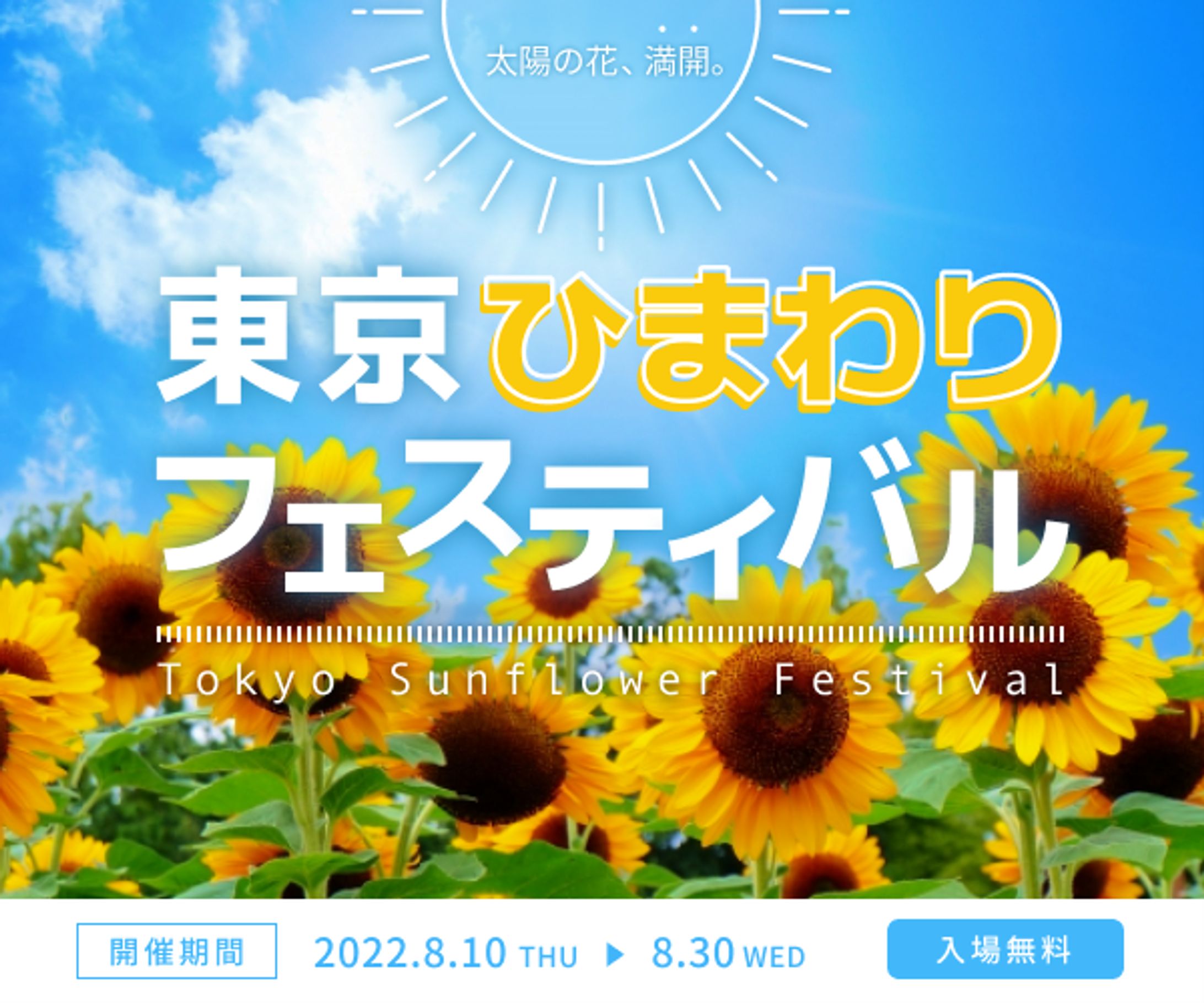 バナー：ひまわりフェスティバル-1