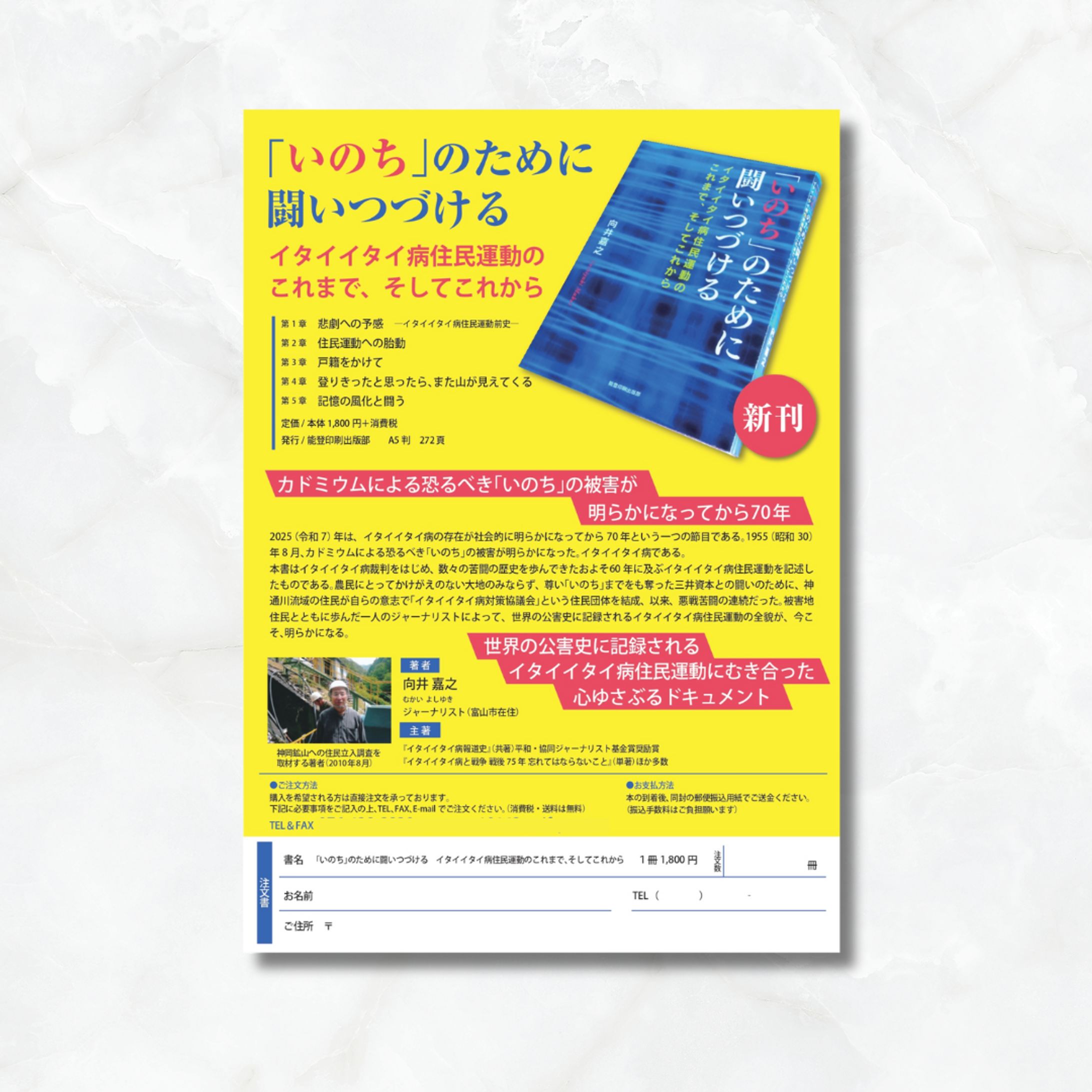チラシ制作実績-1