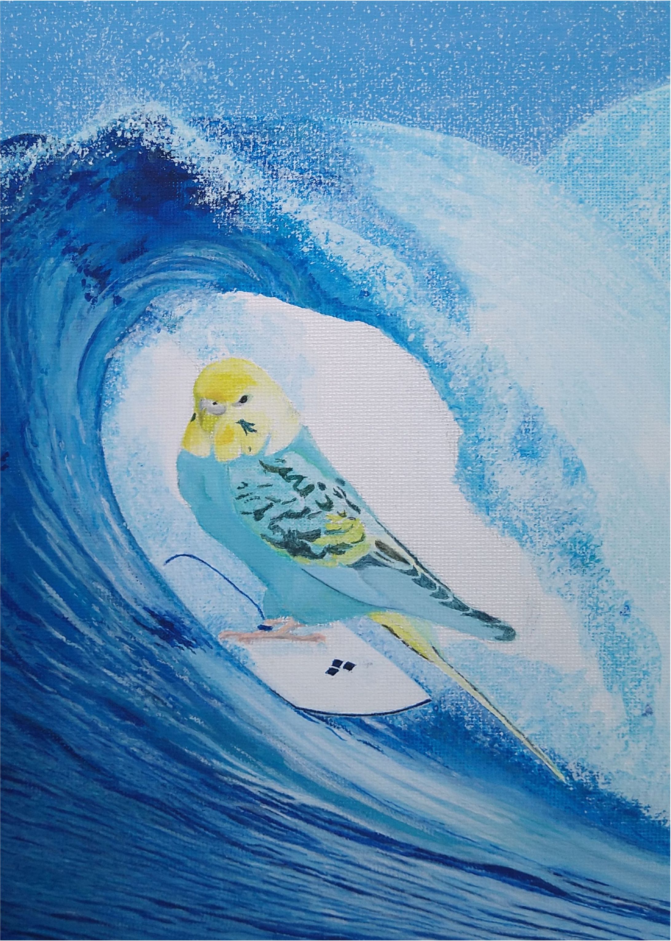 サーフィンインコ -1