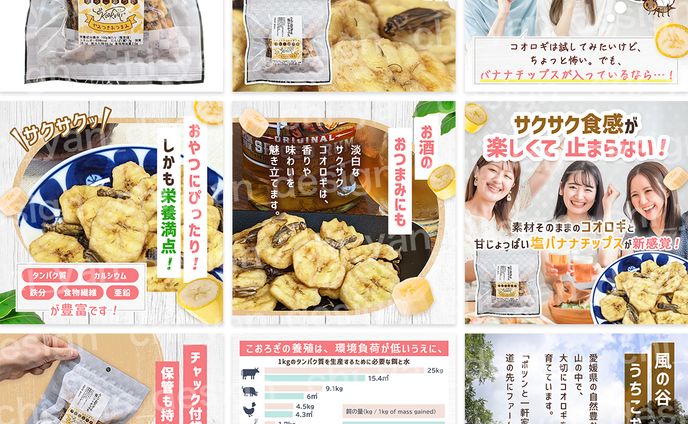 【制作実績】コオロギチップス商品画像