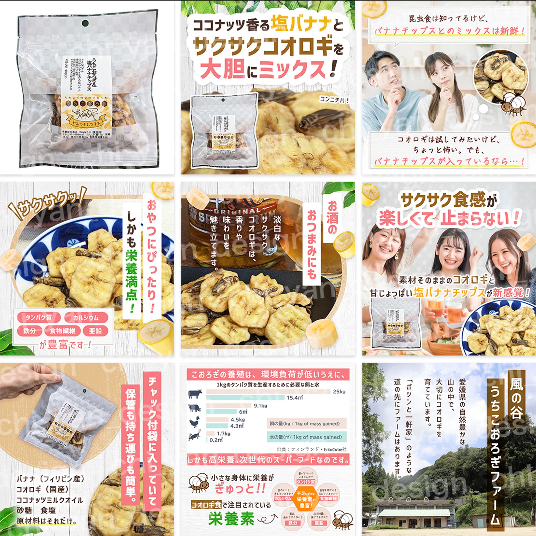 【制作実績】コオロギチップス商品画像-1