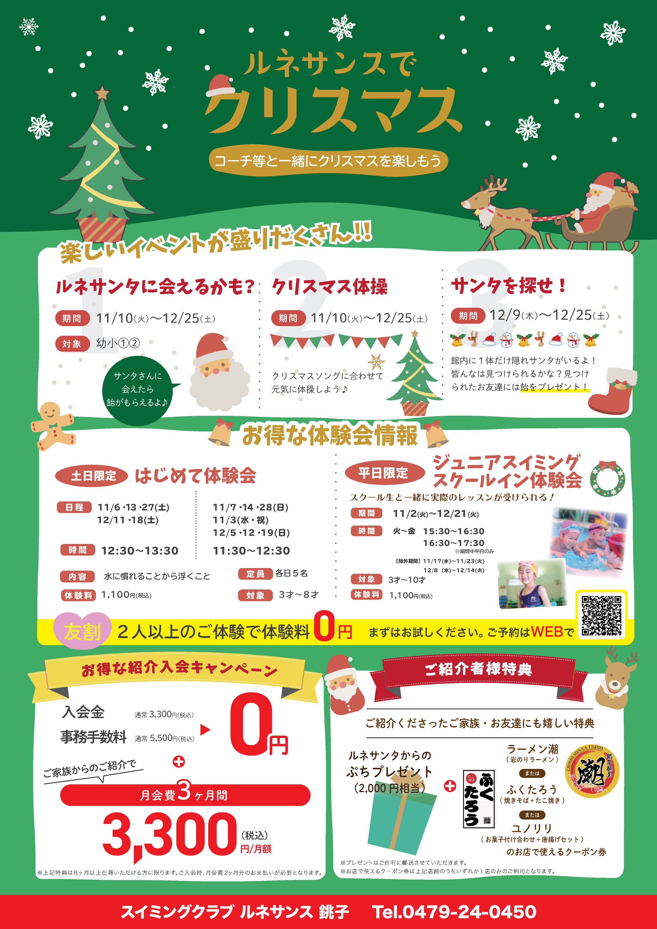 2690 2110xmas-1