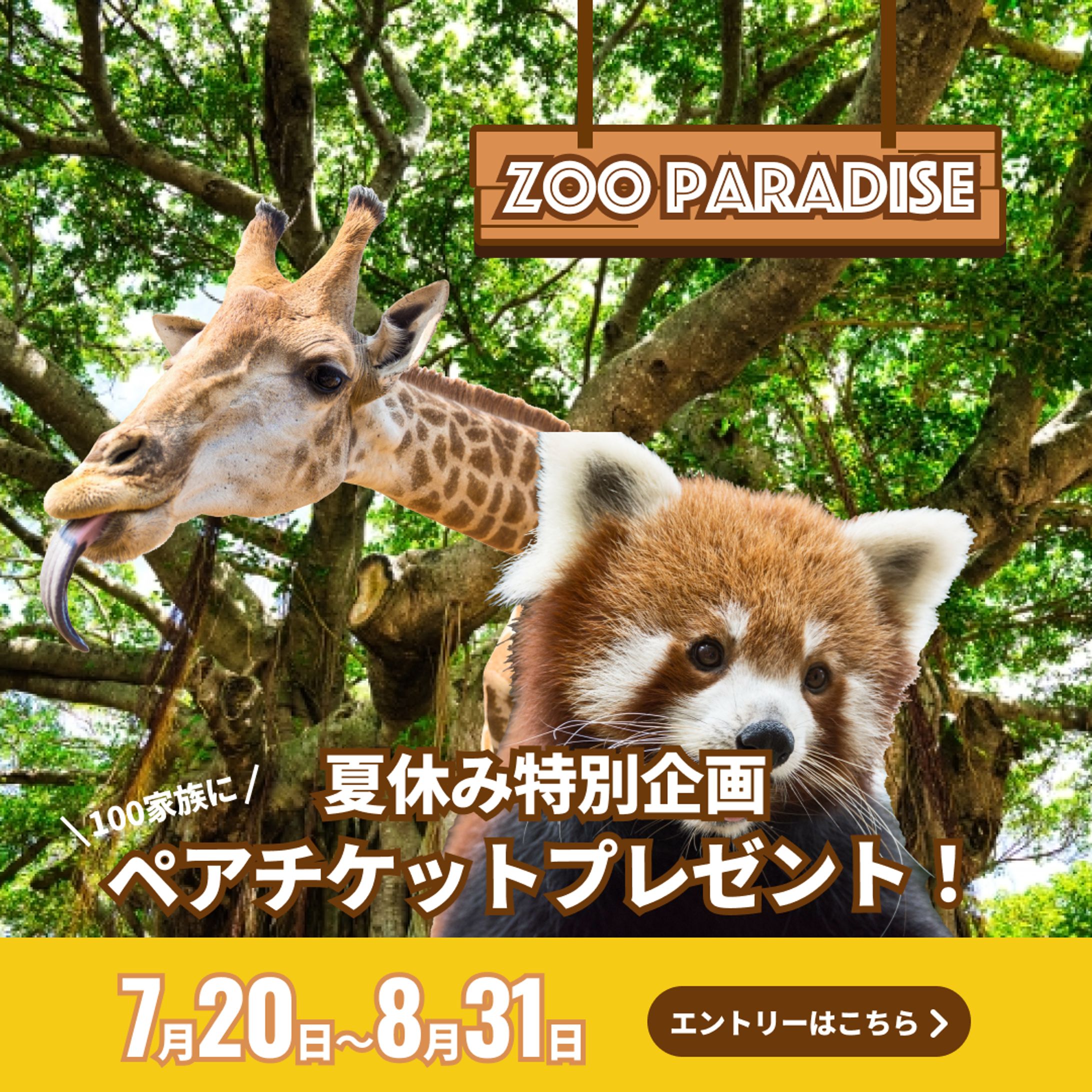 動物園　バナー-1