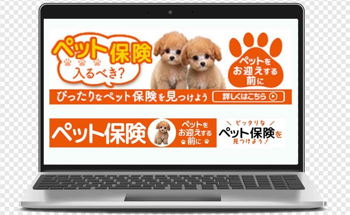 ペット保険（コンペ提案）