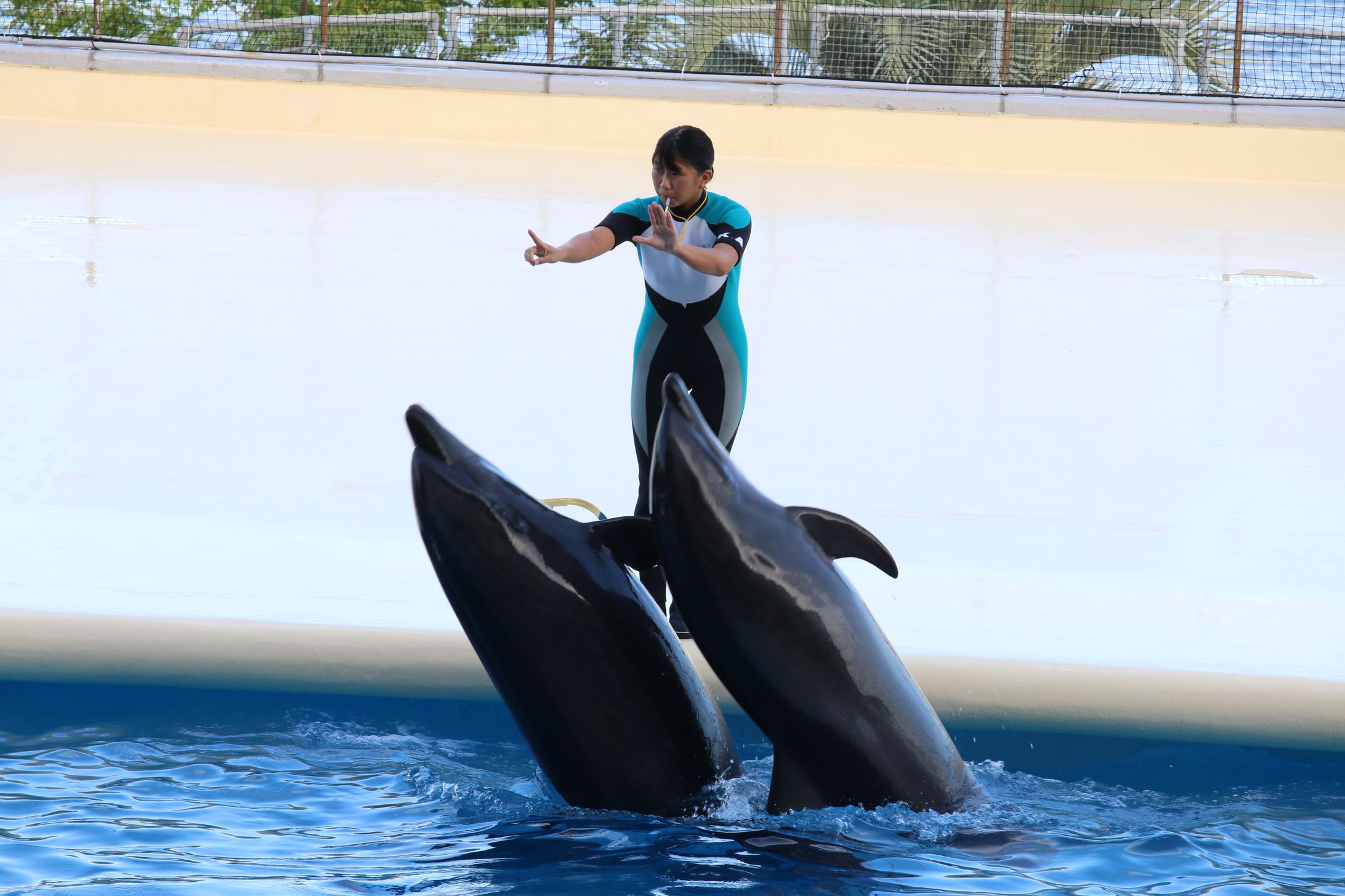 マリンワールド-1