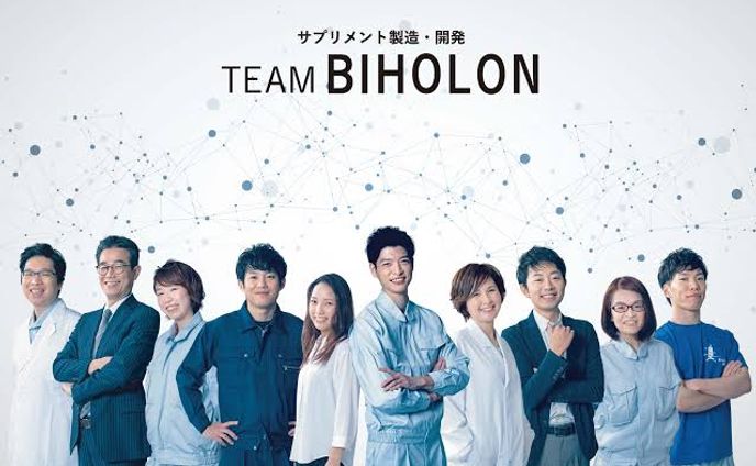 Team BIHOLON poster