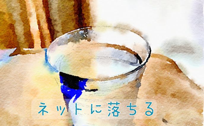 小説：ネットに落ちる