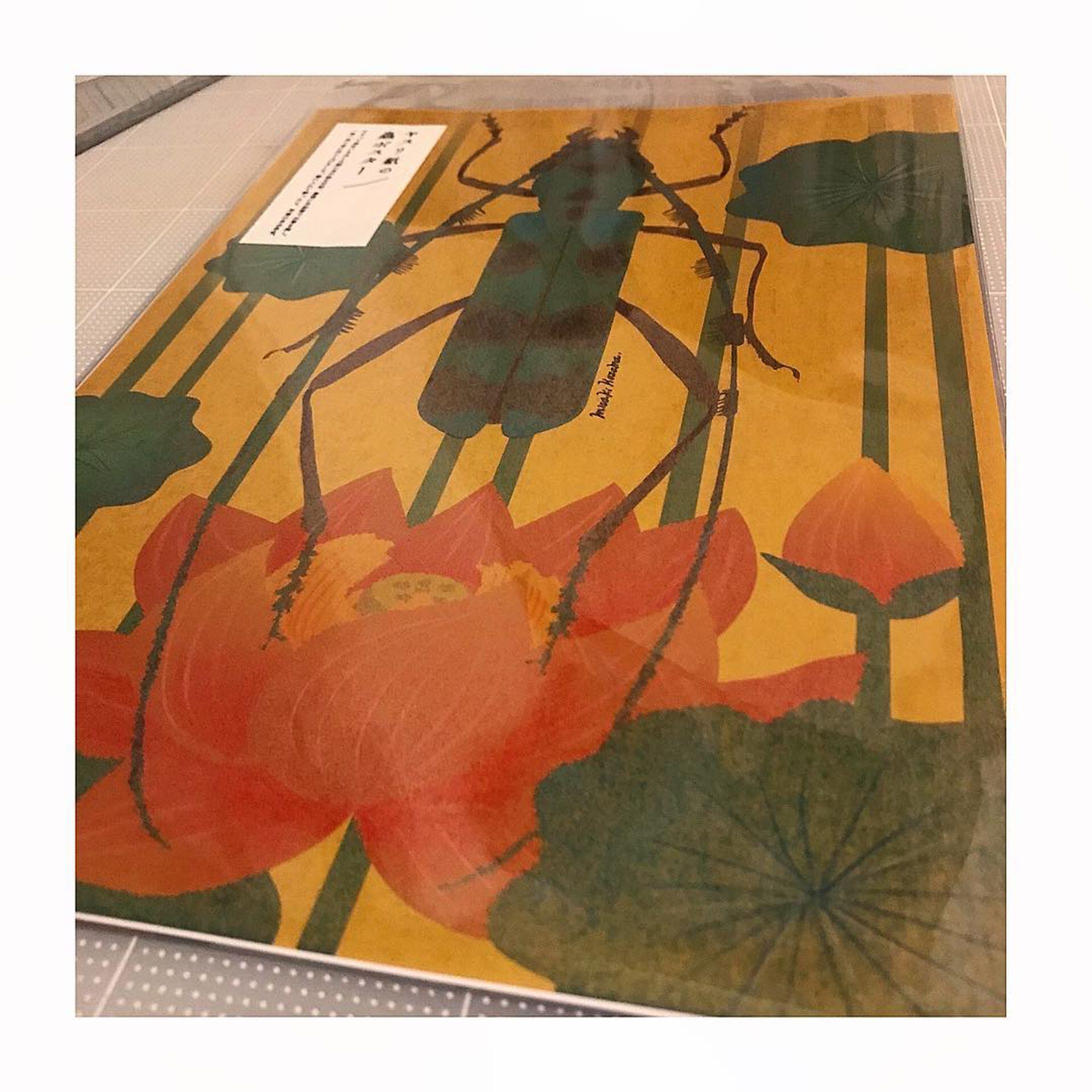 今日はルリボシカミキリかいた
・
・
・
#illustration #昆虫 #ルリボシカミキリ #ポスター #graphicdesign #poster #craft #design-1