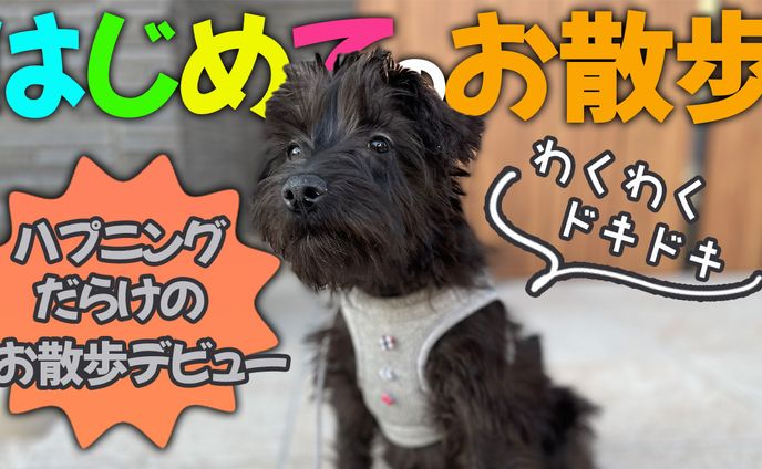 YouTubeサムネイル３