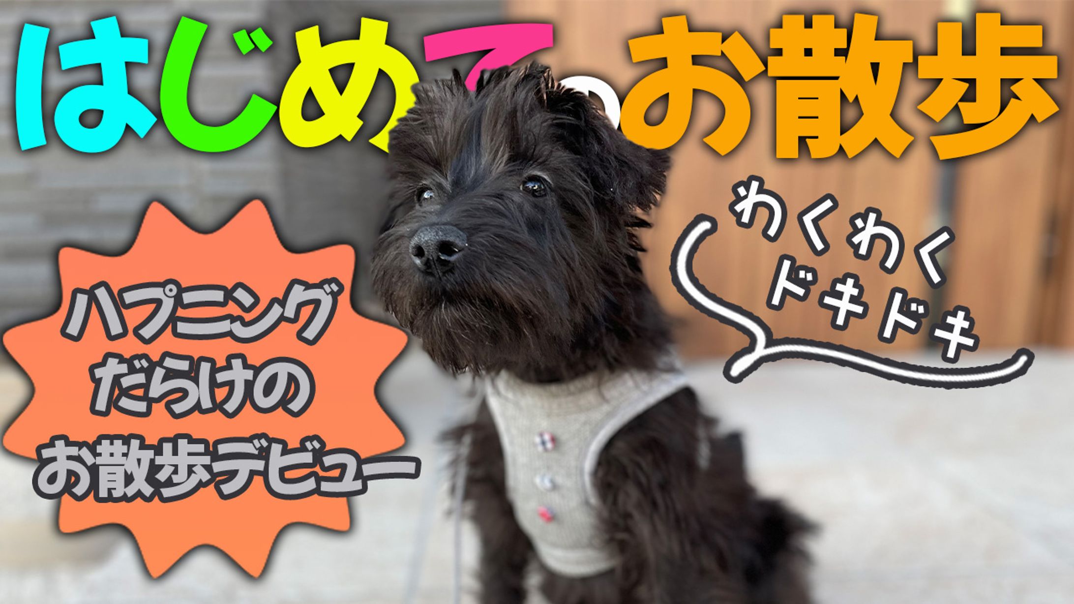YouTubeサムネイル３-1
