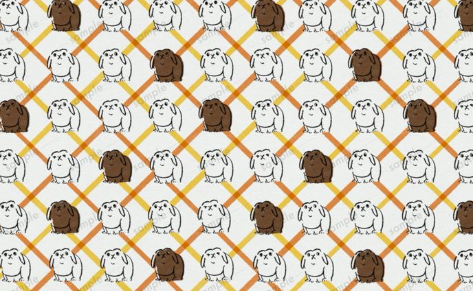 うさぎのとちもち（2025）