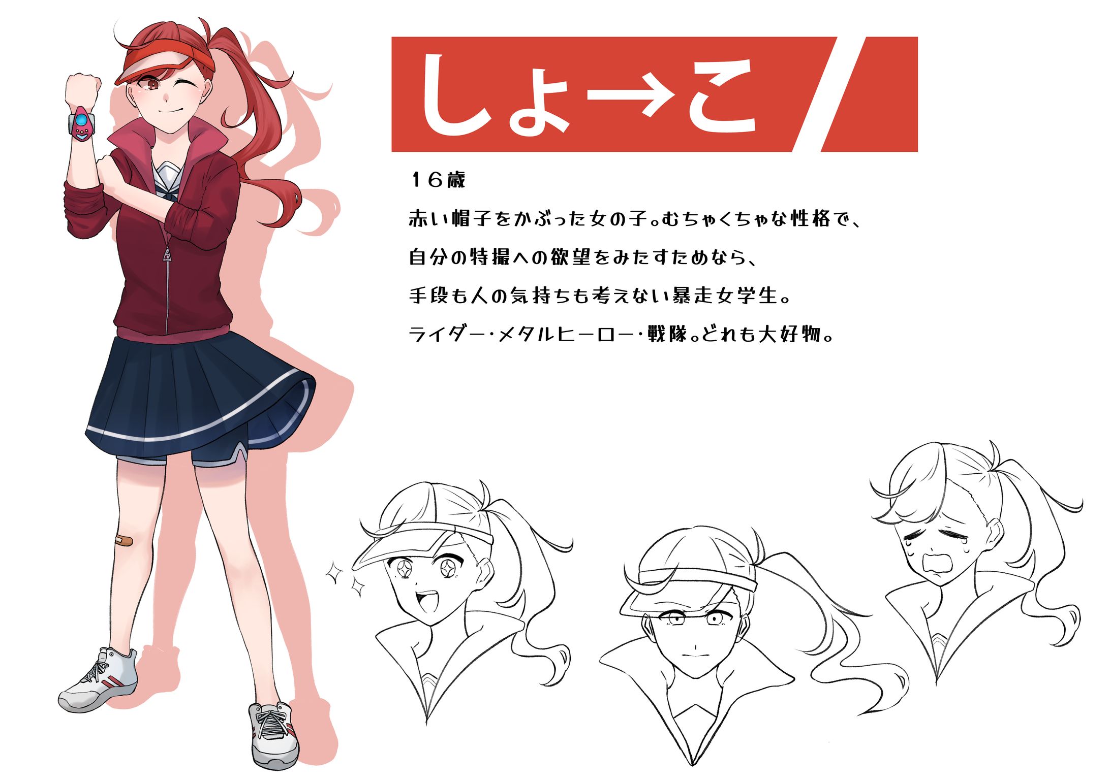 架空の戦隊シリーズアニメ-1