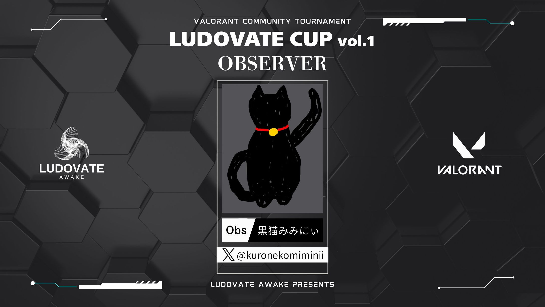 Ludovate Awake cup-1