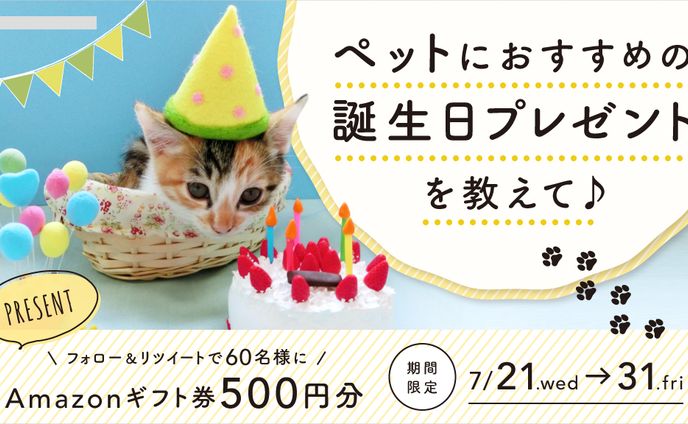 twitter、研究