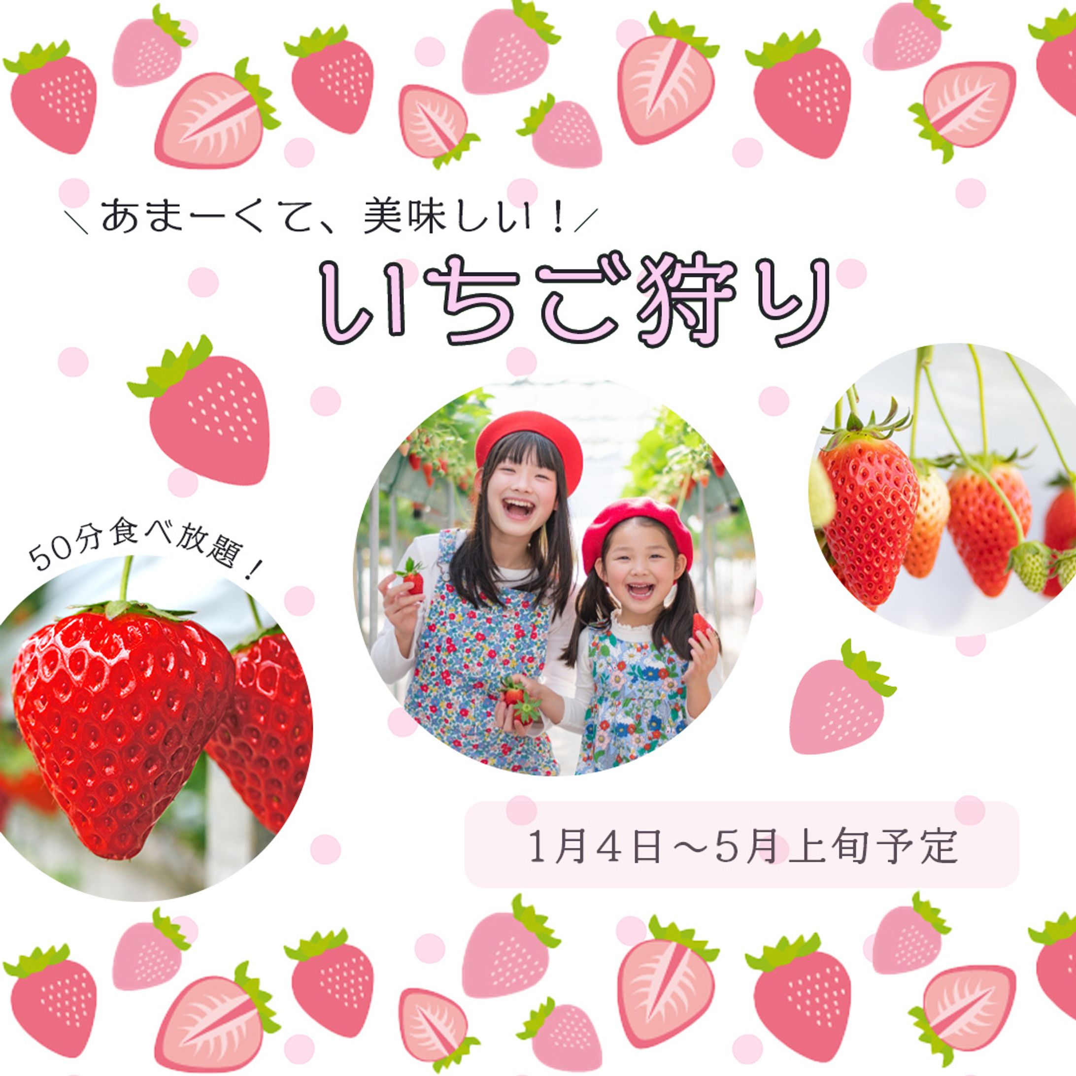 いちご狩り バナー-1