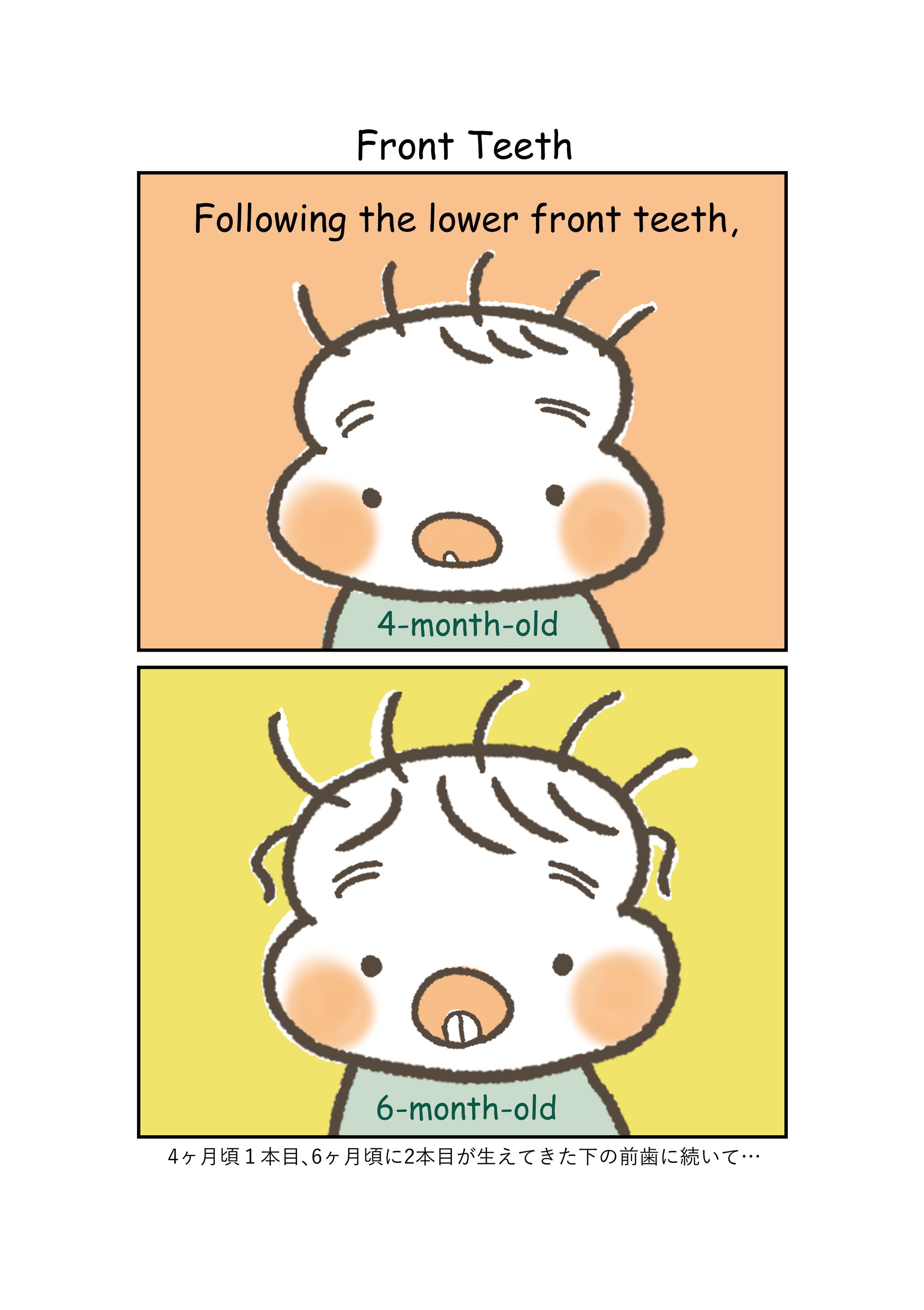 【4コマ英語育児漫画】前歯-1