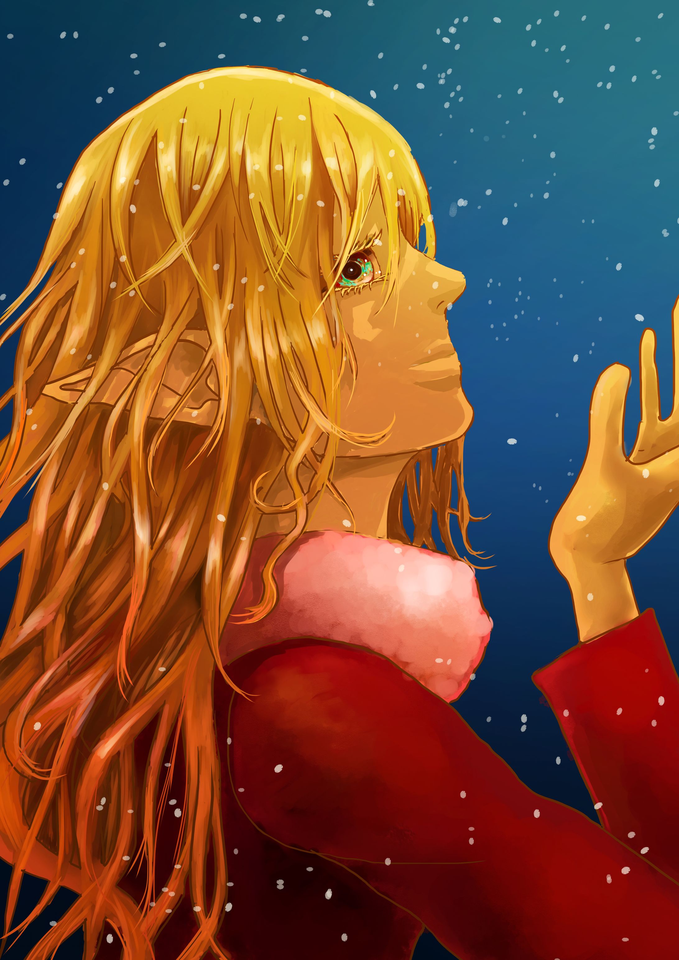 雪の日-1