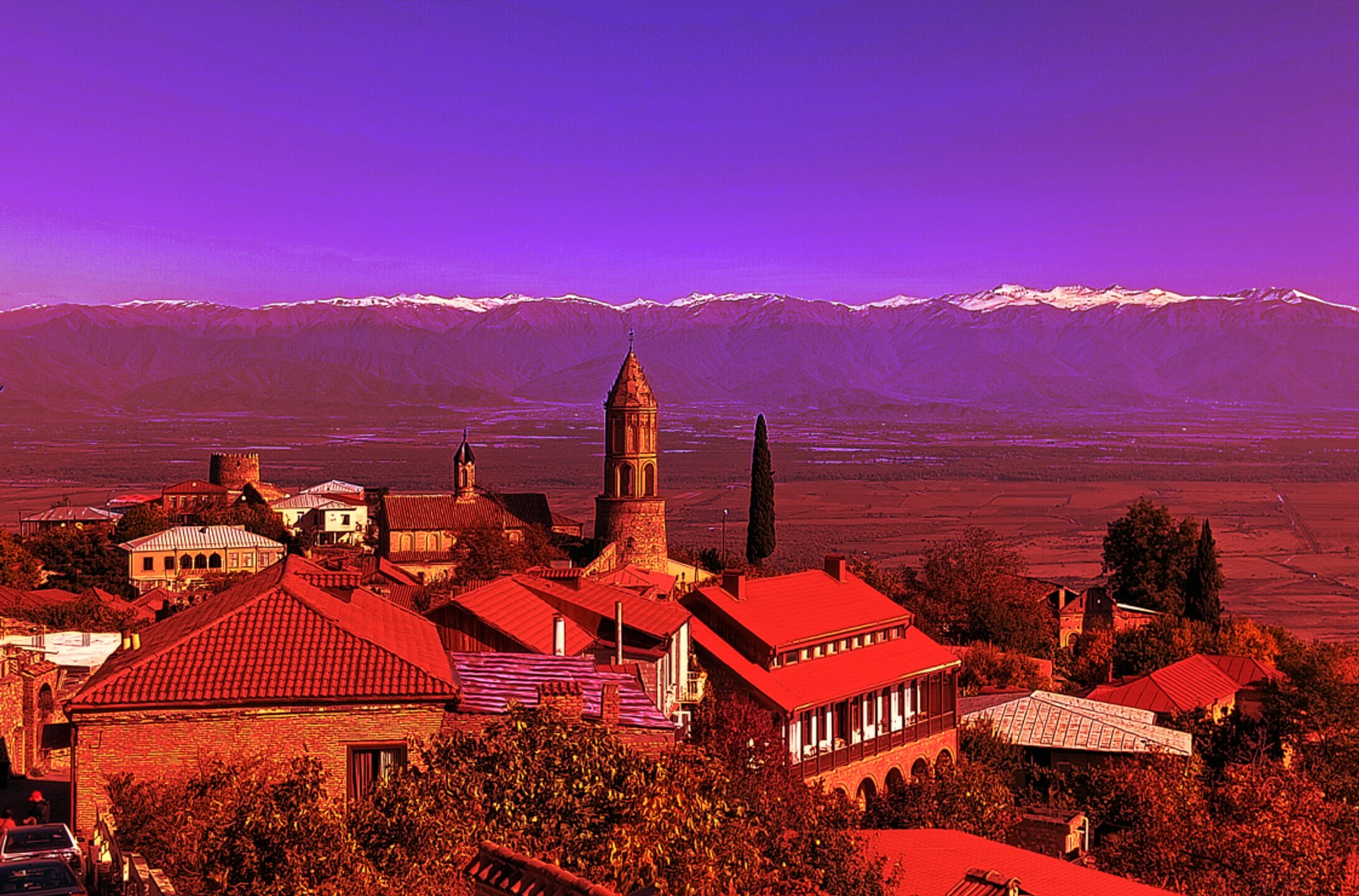 加工写真_シグナギ-1