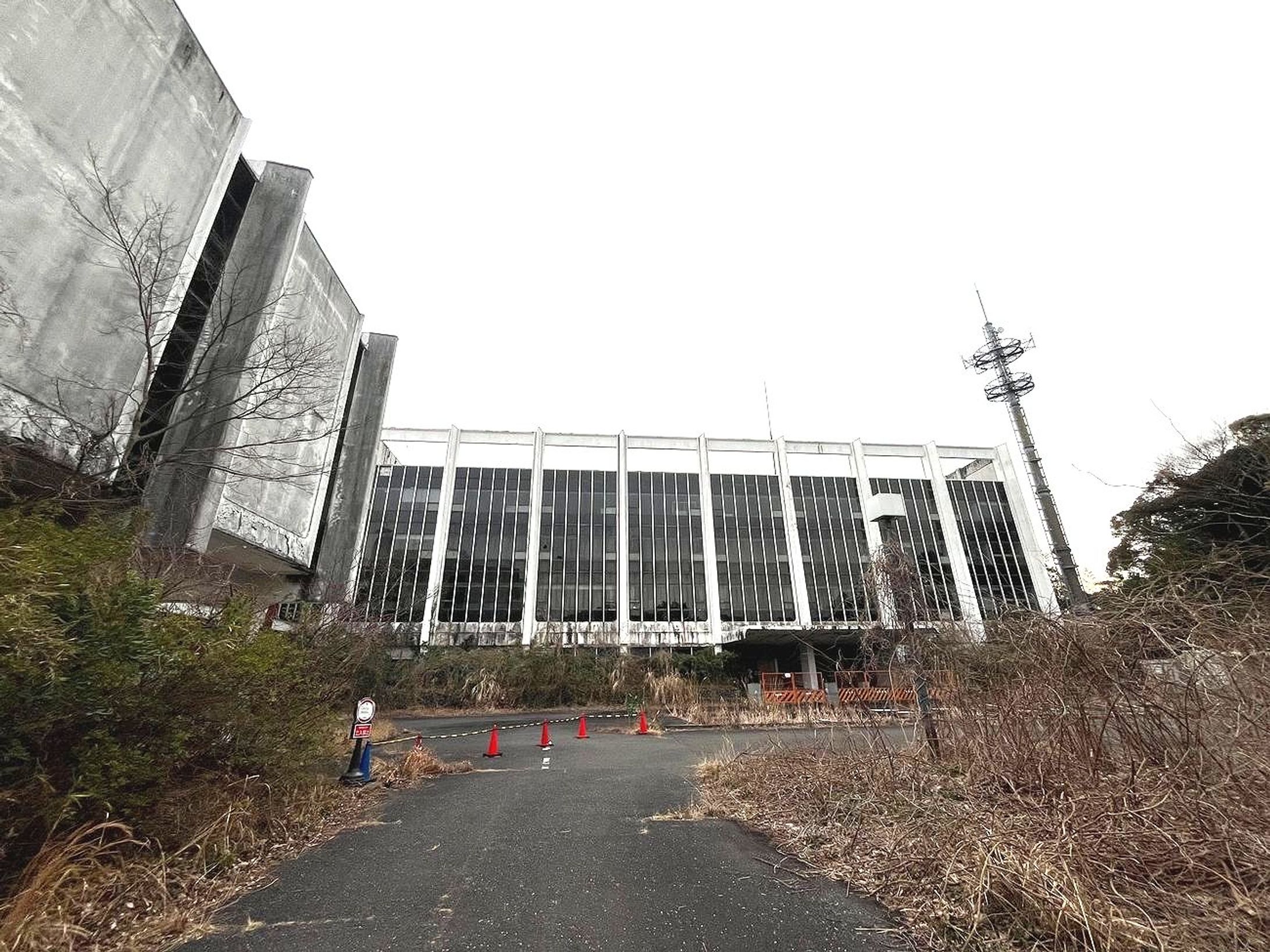 鎌倉の森に残された広大な昭和の遺構　近代建築の研究所跡地、ただいま一般開放中-1