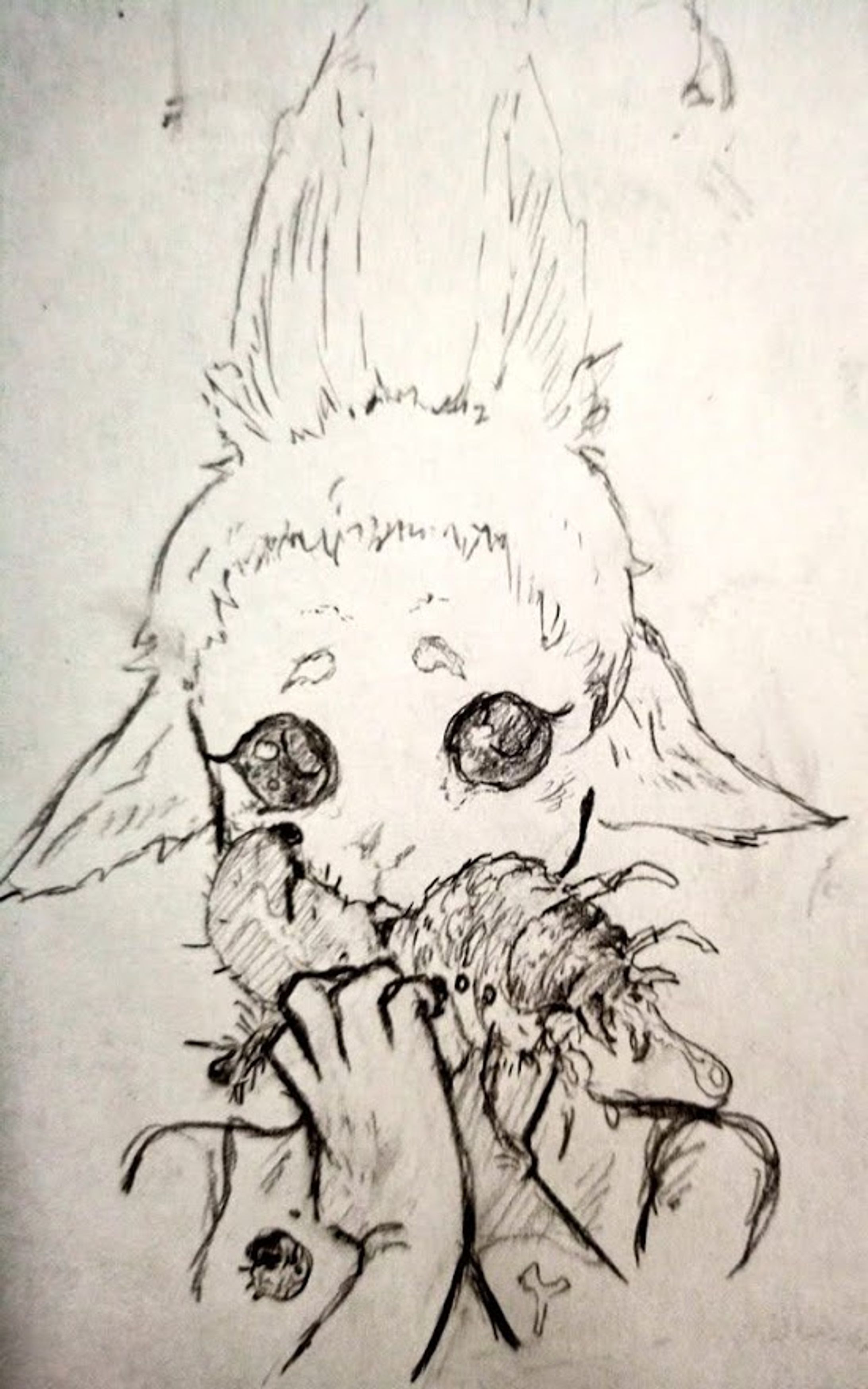 IMG  rrimck-1